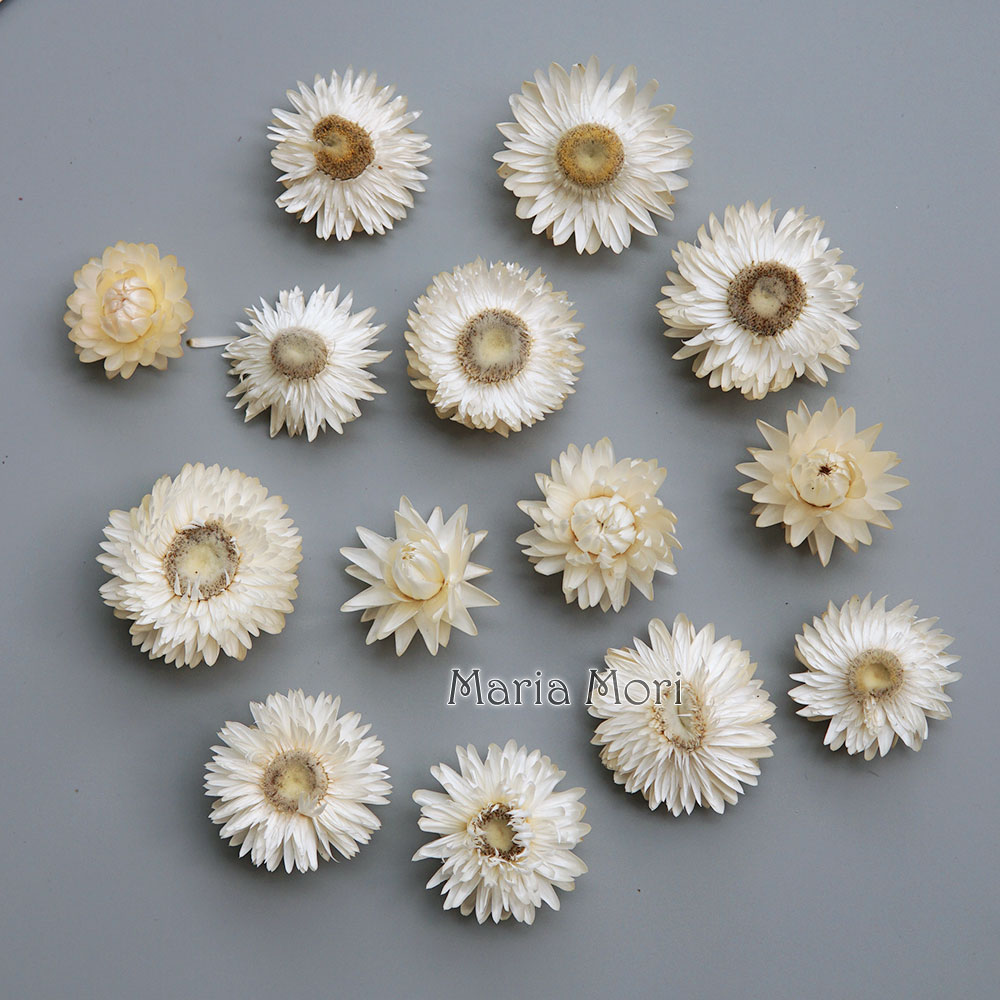 Candle Making Experience - Natural Dried Colorful Chrysanthemum Wreath Handmade