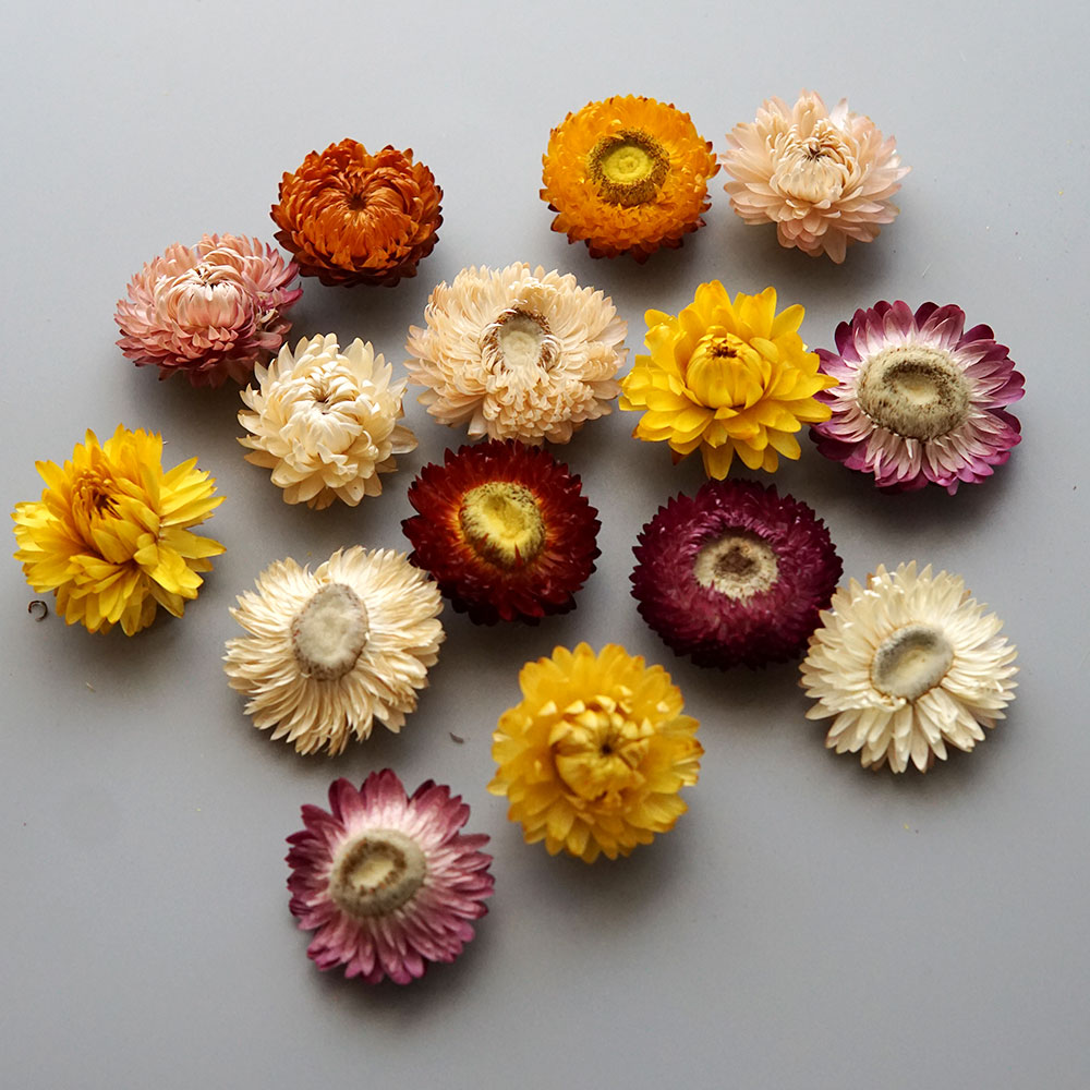 Natural Dried Colorful Chrysan - đánh giá và giá Candle Making Experience