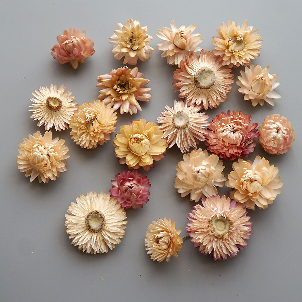 Natural Dried Colorful Chrysan - đánh giá và giá Candle Making Experience